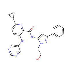 O=C(Nc1cc(-c2ccccc2)nn1CCO)c1nc(C2CC2)ccc1Nc1cncnc1 ZINC000096167382