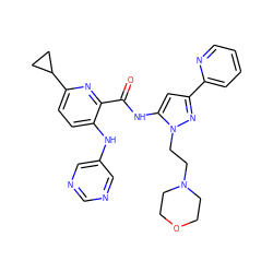 O=C(Nc1cc(-c2ccccn2)nn1CCN1CCOCC1)c1nc(C2CC2)ccc1Nc1cncnc1 ZINC000096167389