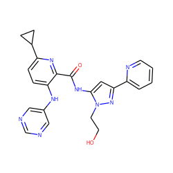 O=C(Nc1cc(-c2ccccn2)nn1CCO)c1nc(C2CC2)ccc1Nc1cncnc1 ZINC000096167383