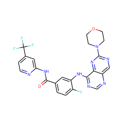 O=C(Nc1cc(C(F)(F)F)ccn1)c1ccc(F)c(Nc2ncnc3cnc(N4CCOCC4)nc23)c1 ZINC000148274726