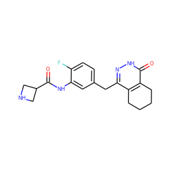 O=C(Nc1cc(Cc2n[nH]c(=O)c3c2CCCC3)ccc1F)C1CNC1 ZINC000139593395