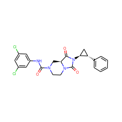 O=C(Nc1cc(Cl)cc(Cl)c1)N1CCN2C(=O)N([C@H]3C[C@@H]3c3ccccc3)C(=O)[C@@H]2C1 ZINC000072176986