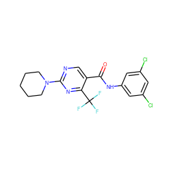 O=C(Nc1cc(Cl)cc(Cl)c1)c1cnc(N2CCCCC2)nc1C(F)(F)F ZINC000013555180