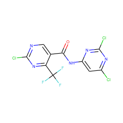 O=C(Nc1cc(Cl)nc(Cl)n1)c1cnc(Cl)nc1C(F)(F)F ZINC000027408922