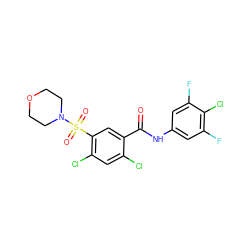 O=C(Nc1cc(F)c(Cl)c(F)c1)c1cc(S(=O)(=O)N2CCOCC2)c(Cl)cc1Cl ZINC001772604098