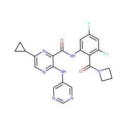 O=C(Nc1cc(F)cc(F)c1C(=O)N1CCC1)c1nc(C2CC2)cnc1Nc1cncnc1 ZINC000169701932