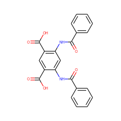 O=C(Nc1cc(NC(=O)c2ccccc2)c(C(=O)O)cc1C(=O)O)c1ccccc1 ZINC000000754759