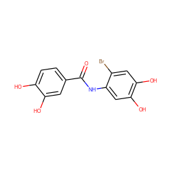 O=C(Nc1cc(O)c(O)cc1Br)c1ccc(O)c(O)c1 ZINC000142491135