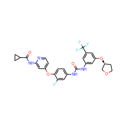 O=C(Nc1cc(O[C@H]2CCOC2)cc(C(F)(F)F)c1)Nc1ccc(Oc2ccnc(NC(=O)C3CC3)c2)c(F)c1 ZINC001772615405