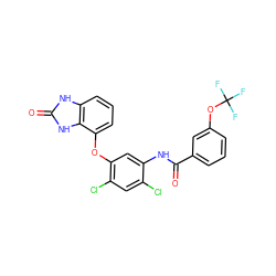 O=C(Nc1cc(Oc2cccc3[nH]c(=O)[nH]c23)c(Cl)cc1Cl)c1cccc(OC(F)(F)F)c1 ZINC000045336116