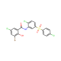 O=C(Nc1cc(S(=O)(=O)c2ccc(Cl)cc2)ccc1Cl)c1cc(Cl)cc(Br)c1O ZINC000001920046