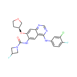 O=C(Nc1cc2c(Nc3ccc(F)c(Cl)c3)ncnc2cc1O[C@H]1CCOC1)N1CC(F)C1 ZINC000103253645