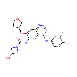 O=C(Nc1cc2c(Nc3ccc(F)c(Cl)c3)ncnc2cc1O[C@H]1CCOC1)N1CC(O)C1 ZINC000103253642