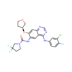 O=C(Nc1cc2c(Nc3ccc(F)c(Cl)c3)ncnc2cc1O[C@H]1CCOC1)N1CCC(F)(F)C1 ZINC000103253648