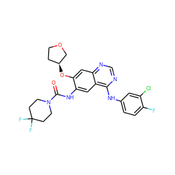 O=C(Nc1cc2c(Nc3ccc(F)c(Cl)c3)ncnc2cc1O[C@H]1CCOC1)N1CCC(F)(F)CC1 ZINC000103252242