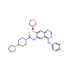 O=C(Nc1cc2c(Nc3ccc(F)c(Cl)c3)ncnc2cc1O[C@H]1CCOC1)N1CCC(N2CCCC2)CC1 ZINC000103253585