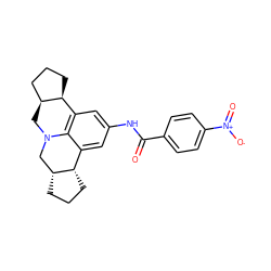 O=C(Nc1cc2c3c(c1)[C@@H]1CCC[C@@H]1CN3C[C@H]1CCC[C@@H]21)c1ccc([N+](=O)[O-])cc1 ZINC000001030927