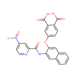 O=C(Nc1cc2ccccc2cc1Oc1ccc(C(=O)O)c(C(=O)O)c1)c1cc([N+](=O)[O-])ccn1 ZINC000013587597