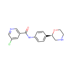 O=C(Nc1ccc([C@@H]2CNCCO2)cc1)c1cncc(Cl)c1 ZINC000117720380