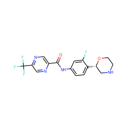 O=C(Nc1ccc([C@H]2CNCCO2)c(F)c1)c1cnc(C(F)(F)F)cn1 ZINC000149976742