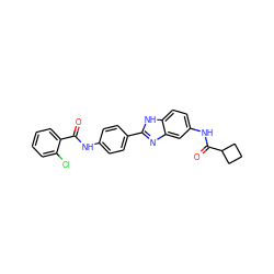 O=C(Nc1ccc(-c2nc3cc(NC(=O)C4CCC4)ccc3[nH]2)cc1)c1ccccc1Cl ZINC000038147883