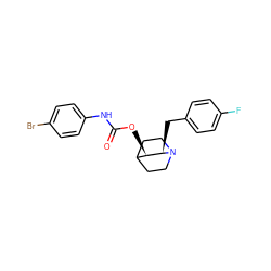 O=C(Nc1ccc(Br)cc1)O[C@@H]1C2CCN(CC2)[C@@H]1Cc1ccc(F)cc1 ZINC000028522876