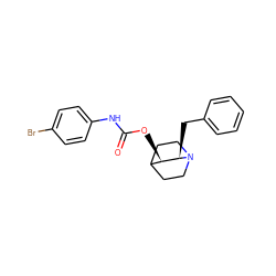 O=C(Nc1ccc(Br)cc1)O[C@@H]1C2CCN(CC2)[C@@H]1Cc1ccccc1 ZINC000028523985