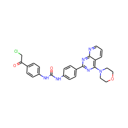 O=C(Nc1ccc(C(=O)CCl)cc1)Nc1ccc(-c2nc(N3CCOCC3)c3cccnc3n2)cc1 ZINC001772613380