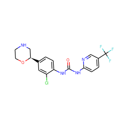 O=C(Nc1ccc(C(F)(F)F)cn1)Nc1ccc([C@@H]2CNCCO2)cc1Cl ZINC000149928853