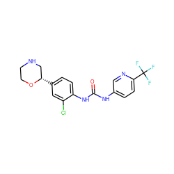 O=C(Nc1ccc(C(F)(F)F)nc1)Nc1ccc([C@H]2CNCCO2)cc1Cl ZINC000149905369