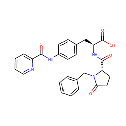 O=C(Nc1ccc(C[C@H](NC(=O)[C@@H]2CCC(=O)N2Cc2ccccc2)C(=O)O)cc1)c1ccccn1 ZINC000027854886