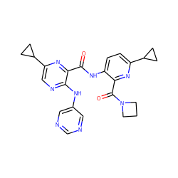 O=C(Nc1ccc(C2CC2)nc1C(=O)N1CCC1)c1nc(C2CC2)cnc1Nc1cncnc1 ZINC000169701886