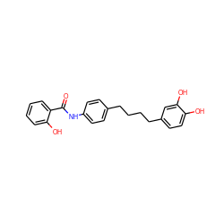 O=C(Nc1ccc(CCCCc2ccc(O)c(O)c2)cc1)c1ccccc1O ZINC000028087589