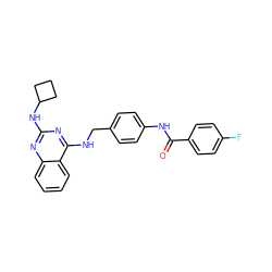 O=C(Nc1ccc(CNc2nc(NC3CCC3)nc3ccccc23)cc1)c1ccc(F)cc1 ZINC000145573561