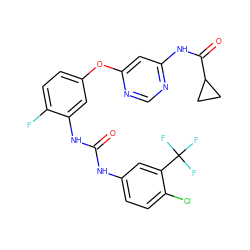 O=C(Nc1ccc(Cl)c(C(F)(F)F)c1)Nc1cc(Oc2cc(NC(=O)C3CC3)ncn2)ccc1F ZINC001772570342