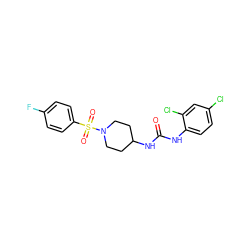 O=C(Nc1ccc(Cl)cc1Cl)NC1CCN(S(=O)(=O)c2ccc(F)cc2)CC1 ZINC000008888476