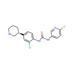 O=C(Nc1ccc(Cl)nc1)Nc1ccc([C@@H]2CCCNC2)cc1Cl ZINC000149952147