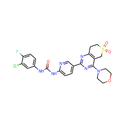 O=C(Nc1ccc(F)c(Cl)c1)Nc1ccc(-c2nc3c(c(N4CCOCC4)n2)CS(=O)(=O)CC3)cn1 ZINC000653709176