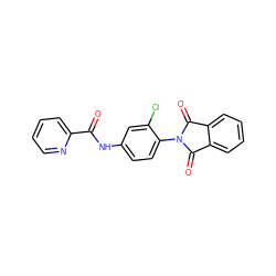 O=C(Nc1ccc(N2C(=O)c3ccccc3C2=O)c(Cl)c1)c1ccccn1 ZINC000047234514