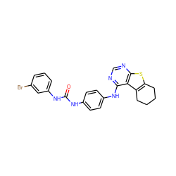 O=C(Nc1ccc(Nc2ncnc3sc4c(c23)CCCC4)cc1)Nc1cccc(Br)c1 ZINC000473144733