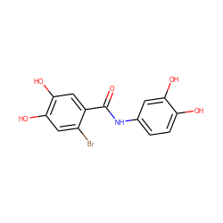 O=C(Nc1ccc(O)c(O)c1)c1cc(O)c(O)cc1Br ZINC000142479546