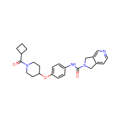 O=C(Nc1ccc(OC2CCN(C(=O)C3CCC3)CC2)cc1)N1Cc2ccncc2C1 ZINC000167714500