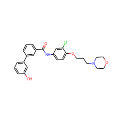 O=C(Nc1ccc(OCCCN2CCOCC2)c(Cl)c1)c1cccc(-c2cccc(O)c2)c1 ZINC000299856958