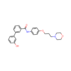 O=C(Nc1ccc(OCCCN2CCOCC2)cc1)c1cccc(-c2cccc(O)c2)c1 ZINC000299859338