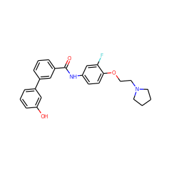 O=C(Nc1ccc(OCCN2CCCC2)c(F)c1)c1cccc(-c2cccc(O)c2)c1 ZINC000299859000