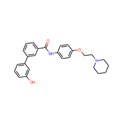 O=C(Nc1ccc(OCCN2CCCCC2)cc1)c1cccc(-c2cccc(O)c2)c1 ZINC000299857969