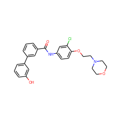 O=C(Nc1ccc(OCCN2CCOCC2)c(Cl)c1)c1cccc(-c2cccc(O)c2)c1 ZINC000299857270