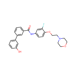 O=C(Nc1ccc(OCCN2CCOCC2)c(F)c1)c1cccc(-c2cccc(O)c2)c1 ZINC000299859082