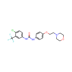 O=C(Nc1ccc(OCCN2CCOCC2)cc1)Nc1ccc(Cl)c(C(F)(F)F)c1 ZINC000058564026