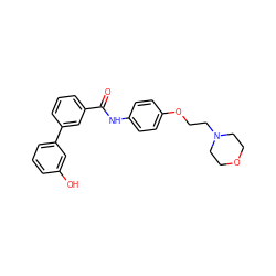 O=C(Nc1ccc(OCCN2CCOCC2)cc1)c1cccc(-c2cccc(O)c2)c1 ZINC000299858060